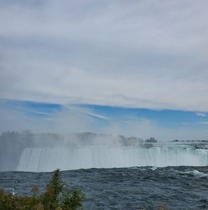 Meet your Posher, Hamid